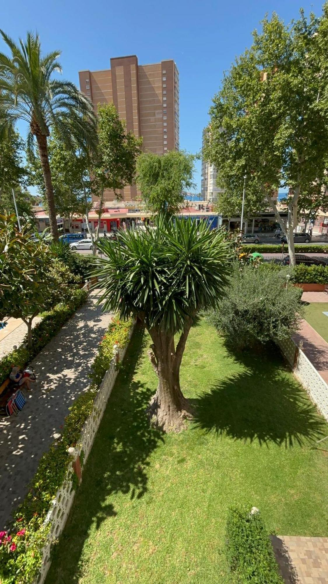 Luxury Family Levante Appartement *
